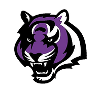 Millennium High School Football