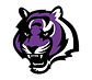 Millennium High School Football
